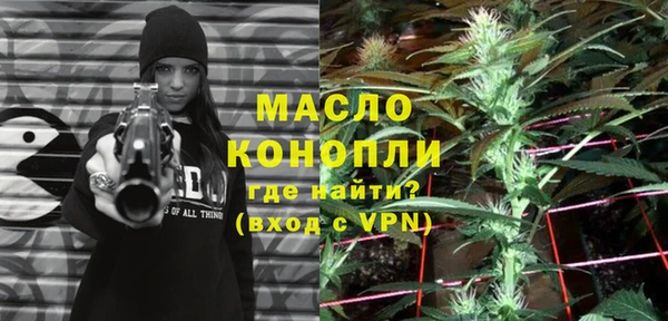 молекула духа Зеленодольск