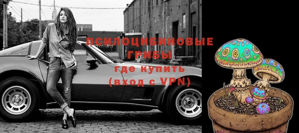 молекула духа Зеленодольск