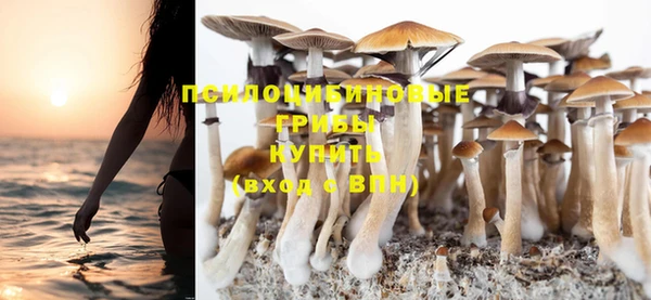 спиды Зерноград